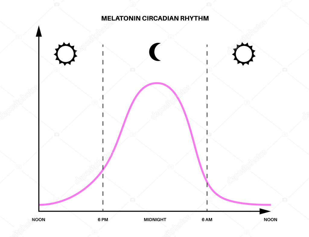 Sleep wake cycle