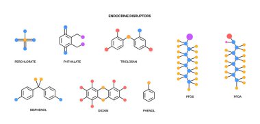 Endocrine disruptors formula