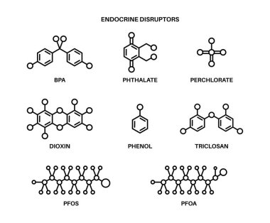 Endocrine disruptors formula clipart