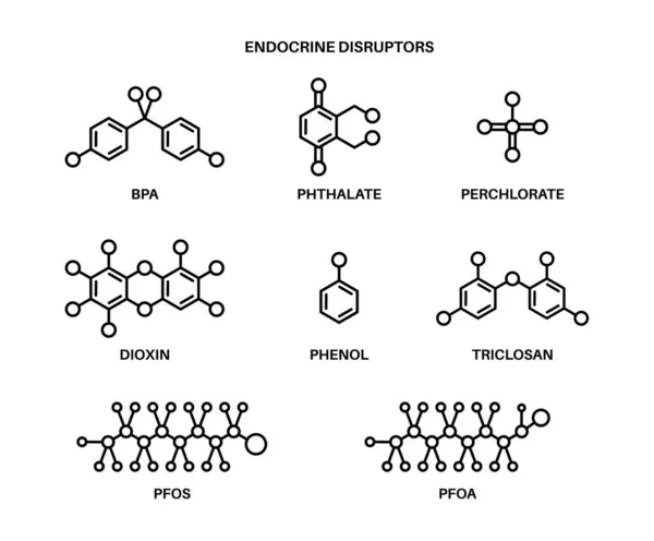 Endocrine disruptors formula — Stockvektor