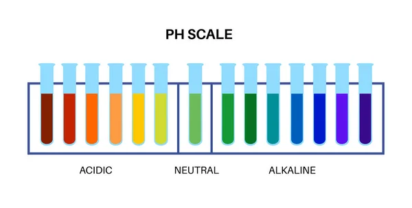 Scale Diagram Measure How Acidic Alkaline Aqueous Solution Range Being — Stock Vector