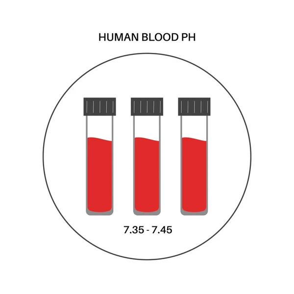 Normal Range Level Human Blood Value Medical Research Laboratory Acid — Stock Vector