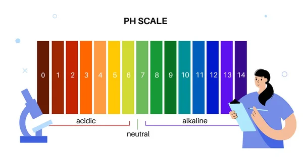 Diagrama Escala Medir Qué Tan Ácida Alcalina Una Solución Acuosa — Archivo Imágenes Vectoriales