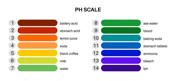 pH scale diagram, measure how acidic or alkaline an aqueous solution is. The range from 0 to 14, with 7 being neutral. pHs of less than 7 are acidity, greater than 7 are base. Colorful chart vector.