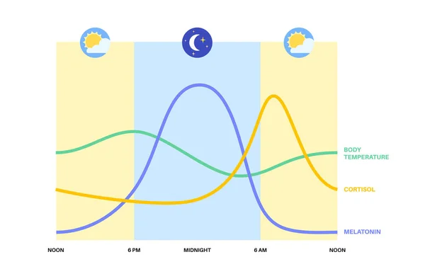 Circadian rhythm infographic poster. Melatonin and cortisol are ...