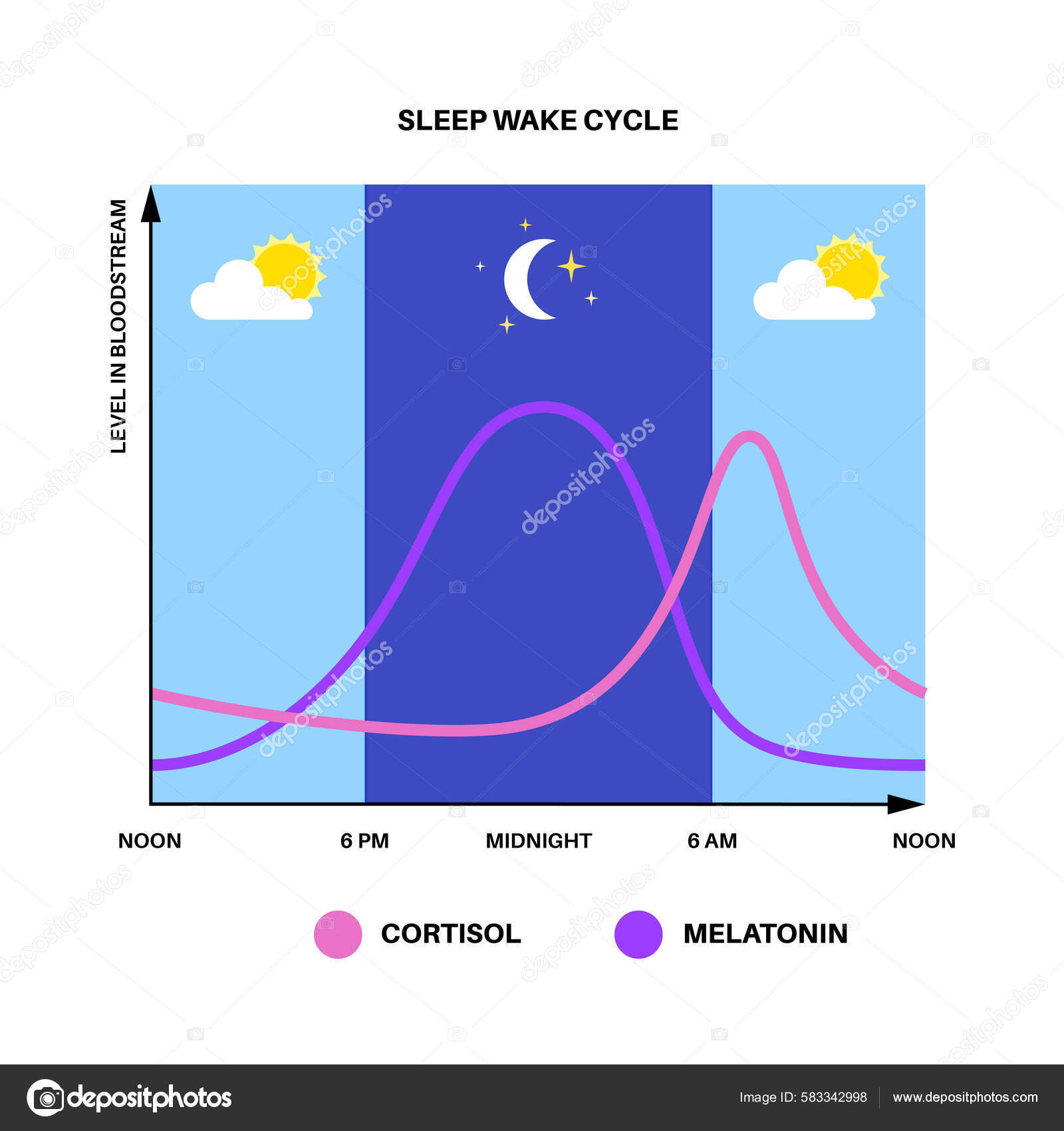 circadian-rhythm-infographic-poster-melatonin-cortisol-produced-human