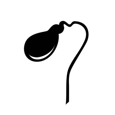 Safra kesesi anatomik posteri ya da eğitim afişi. Safra kanalı şeması. Sindirim sisteminin bir parçası. Klinikte ya da hastanede iç organ muayenesi. Tıbbi düz vektör çizimi