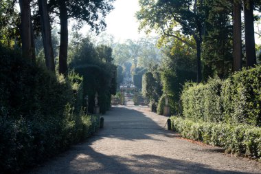 Ağaçlar ve çitlerle kaplı gölgeli güneş ışığı yolu