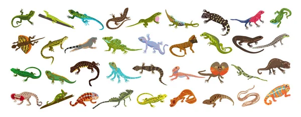 Lagarto Iconos Conjunto Vector Dibujos Animados Gecko Camaleón Piel Iguana — Archivo Imágenes Vectoriales