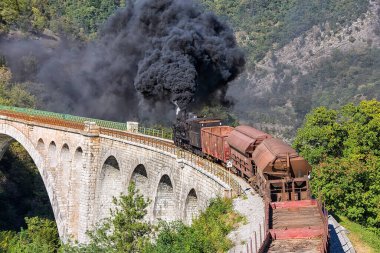 Solkan yakınlarındaki dünyanın en uzun taş köprüsündeki eski buhar treni - Nova Gorica, Slovenya