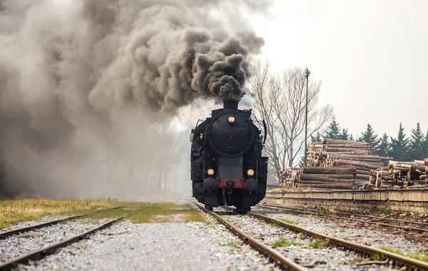 Eski Buhar Treni - lokomotif Nova Gorica, Slovenya, Avrupa 'daki tren istasyonundan ayrılıyor