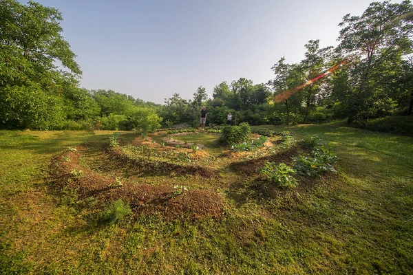 Evde yetişen sebze bahçesinde çalışan genç adam ve kadın.