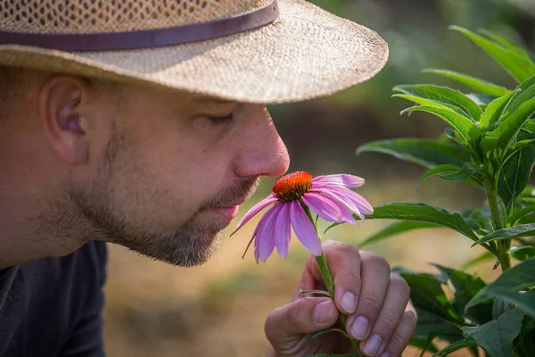 Genç adam, Echinacea çiçeğinin kokusunu Ev Yetiştirilmiş Sebze Bahçesi 'nden alıyor.