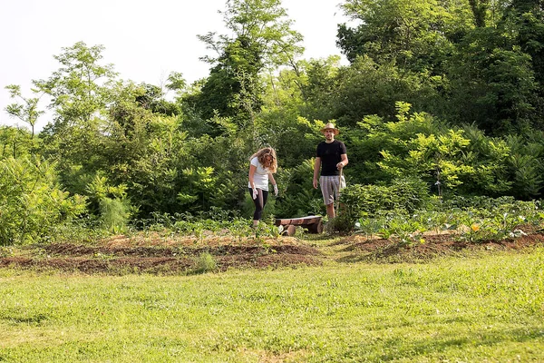 Evde yetişen sebze bahçesinde çalışan genç adam ve kadın.