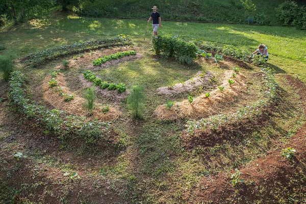 Evde yetişen sebze bahçesinde çalışan şapkalı genç adam.