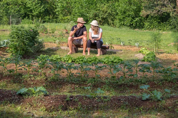 Genç Bir Adam Kadın Evde Yetişen Sebze Bahçesinde Oturup Sohbet — Stok fotoğraf