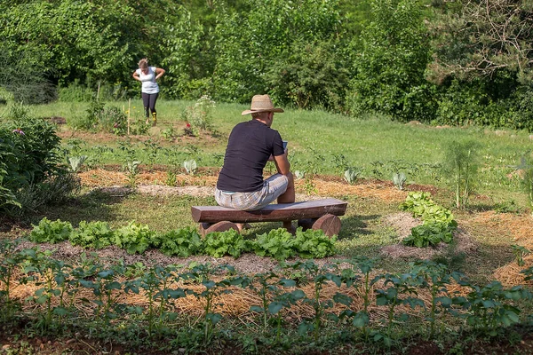 Jovem Mulher Trabalhando Jardim Legumes Cultivado Casa Imagens De Bancos De Imagens Sem Royalties