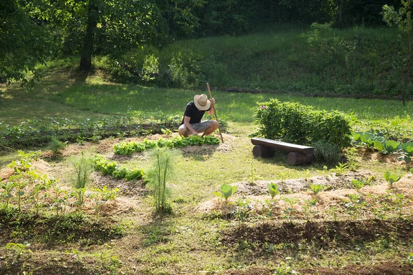 Mladý Muž Kloboukem Pracuje Domácí Zeleninové Zahradě — Stock fotografie