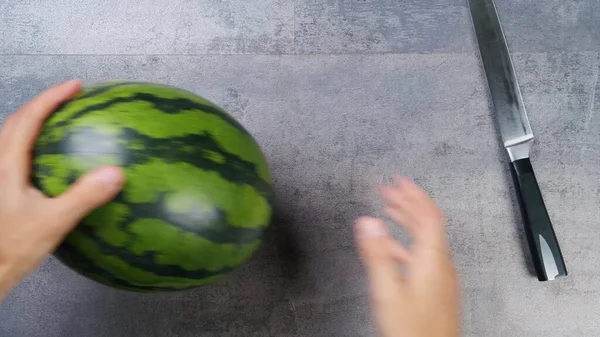 Yakın çekim erkek elleri, olgun çizgili yeşil karpuzu tahta bir masaya koyar.