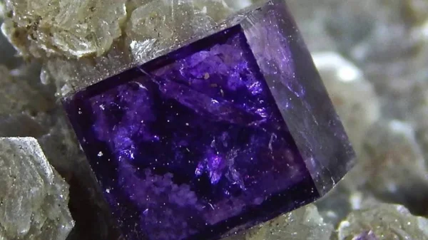 Macro-mineral crystal stone, purple and white quartz crystals of amethyst on a gray background