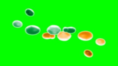 Suluboya tasarımının sanatsal çok renkli unsurları, soyut arkaplan, yeşil arkaplandaki sıçramalarla vurgulanan bir damla kireç ve turuncu mürekkeple oluşturulan bir sıçramadır.