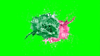 Soyut arkaplan, yeşil arkaplandaki sıçramalarla vurgulanan bir damla yeşil ve pembe mürekkep tarafından oluşturulan bir sıçramadır. Patlayan renkli mürekkebin dondurucu hareketi