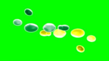 Soyut arkaplan, yeşil arkaplandaki sıçramalarla vurgulanan yeşil ve sarı mürekkep damlasının oluşturduğu bir sıçramadır. Patlayan renkli mürekkebin dondurucu hareketi.