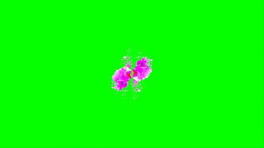 Soyut arkaplan, yeşil arkaplandaki sıçramalarla vurgulanan bir damla kırmızı ve mavi mürekkep tarafından oluşturulan bir sıçramadır. Patlayan renkli mürekkebin dondurucu hareketi. Dışavurumculuk tarzında kaotik bir sanat eseri.