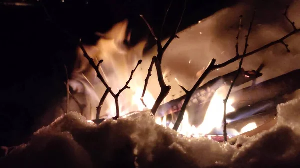 Ein Loderndes Feuer Wald Brennt Ein Lagerfeuer Die Textur Eines — Stockfoto