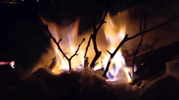 Пылающий Огонь Лесу Горит Костер Текстура Горящего Огня Горящие Сухие — стоковое фото