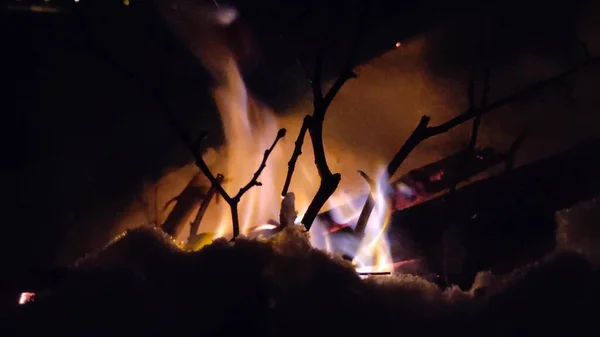 화염을 그곳에 던졌노라 숲에서 화톳불이 타오르고 있습니다 불타는 열매를 불타는 — 스톡 사진