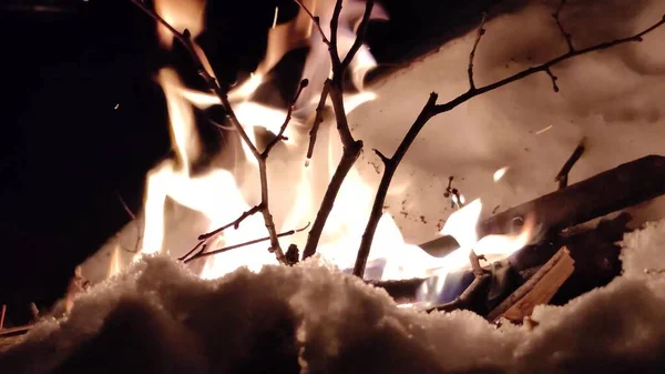 Blazing Fire Bonfire Burning Forest Texture Burning Fire Burning Dry — Stock Photo, Image
