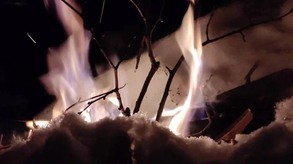 Палаючий Вогонь Лісі Горить Багаття Фактура Палаючого Вогню Спалюють Сухі — стокове фото