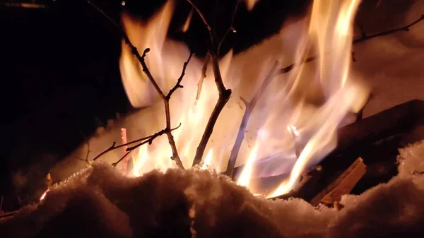 Blazing Fire Bonfire Burning Forest Texture Burning Fire Burning Dry — Stock Photo, Image