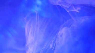 Sıvı boya sıçrama ve girdaplarla sanat eserlerini karıştırıyor. Mavi ve beyaz yanardöner renkleriyle ayrıntılı arkaplan hareketi