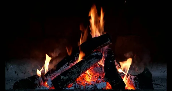 Large Bonfire Sparks Background Dark Forest Winter — Stock Photo, Image