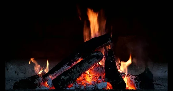 Large Bonfire Sparks Background Dark Forest Winter — Stock Photo, Image