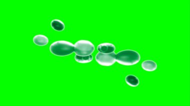 Soyut arkaplan bir damla kireç ve kırmızı mürekkep ile oluşturulan bir sıçramadır, yeşil arka plandaki sıçramalarla vurgulanır.