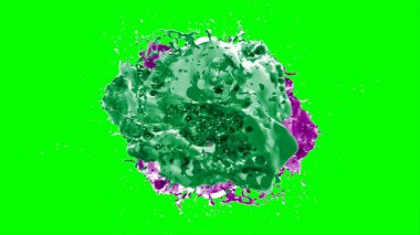 Suluboya tasarımının sanatsal çok renkli unsurları, soyut arkaplan, yeşil arka plandaki sıçramalarla vurgulanan bir damla kireç ve peri mürekkebi tarafından oluşturulan bir sıçramadır.