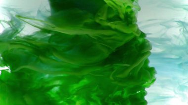 Beyaz arka planda güzel yeşil ve mavinin soyut bulanıklığı