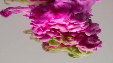 Çok güzel mor bir girdap deseni. Sanatsal tasarım. Beyaz arka planda renkli boyaların patlaması