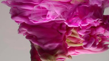 Çok güzel mor bir girdap deseni. Sanatsal tasarım. Beyaz arka planda renkli boyaların patlaması