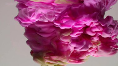 Çok güzel mor bir girdap deseni. Sanatsal tasarım. Beyaz arka planda renkli boyaların patlaması