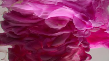 Çok güzel mor bir girdap deseni. Sanatsal tasarım. Beyaz arka planda renkli boyaların patlaması