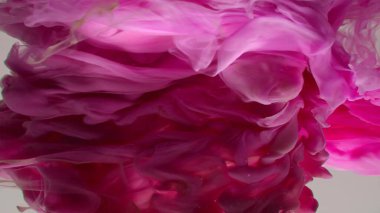 Çok güzel mor bir girdap deseni. Sanatsal tasarım. Beyaz arka planda renkli boyaların patlaması