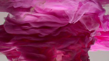 Çok güzel mor bir girdap deseni. Sanatsal tasarım. Beyaz arka planda renkli boyaların patlaması