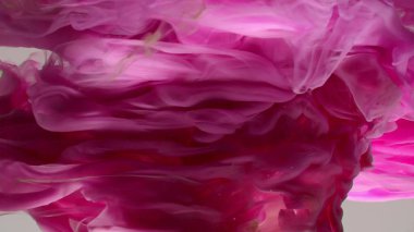 Çok güzel mor bir girdap deseni. Sanatsal tasarım. Beyaz arka planda renkli boyaların patlaması