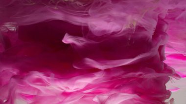 Çok güzel mor bir girdap deseni. Sanatsal tasarım. Beyaz arka planda renkli boyaların patlaması