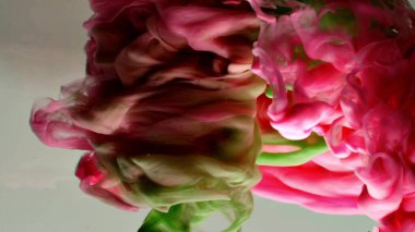 Suyun altında dönen kırmızı ve yeşil mürekkep. Soyut duman patlaması etkisi. Soyut gri arkaplan