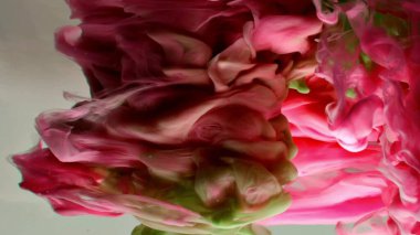 Suyun altında dönen kırmızı ve yeşil mürekkep. Soyut duman patlaması etkisi. Soyut gri arkaplan